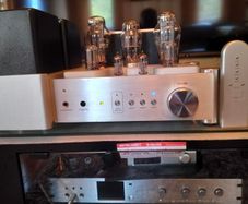 yaqin ms-300