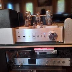 yaqin ms-300