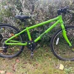 Frog 62 bike