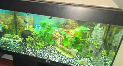 fish tank Juwel Rio 180l with stand and lid
