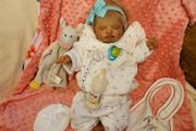 reborn doll