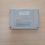 International Sensible Soccer World Champions Nes Image 2