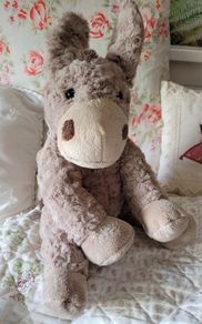 Gorgeous donkey teddy