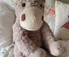 Gorgeous donkey teddy