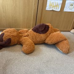 large soft dog
