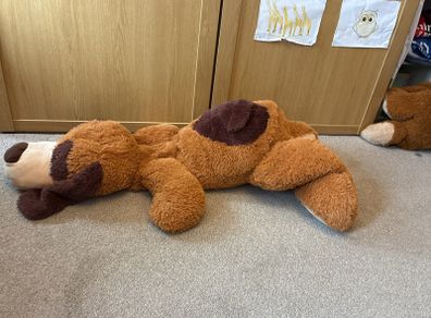 large soft dog