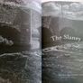 Where the waters flow The stories and lore of Ireland's rivers Ireland Irish Image 8