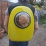 cat carrier Image 5