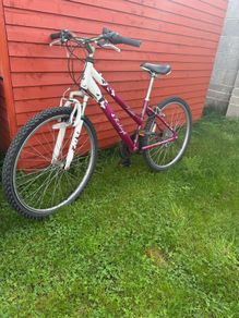 Raleigh Ladies Mountain Bike
