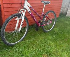 Raleigh Ladies Mountain Bike