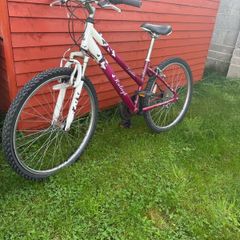 Raleigh Ladies Mountain Bike