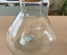 Plant jar / terrarium