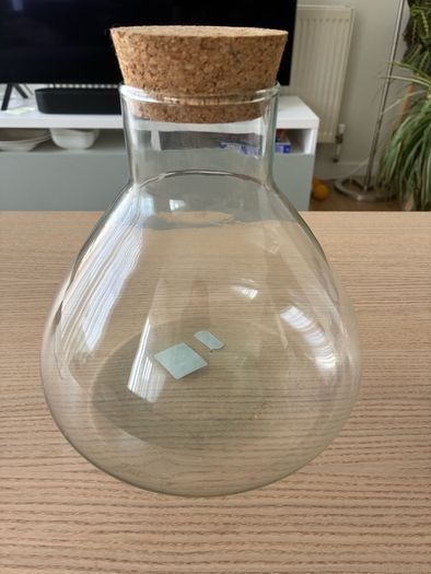 Plant jar / terrarium
