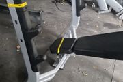 Nautilus decline bench
