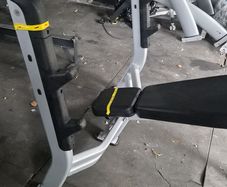 Nautilus decline bench