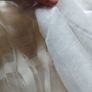 Curtains Image 3