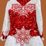 Irish Dancing Dress for 12-14 Year Old Image 3