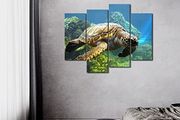 BNIB Turtle Canvas