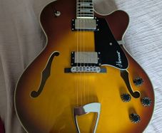 Guitar