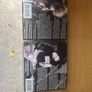 Bob Dylan Interview CD's Image 2