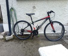 Ridgeback Mx2 (I am up to negotiation!)