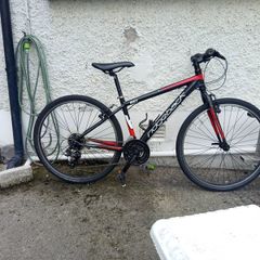 Ridgeback Mx2 (I am up to negotiation!)