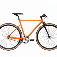 Fixed Gear / Single Speed Bike