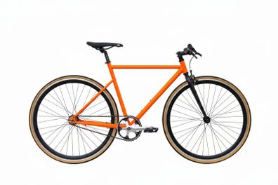 Fixed Gear / Single Speed Bike