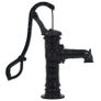 Garden Water Pump with Stand Cast Iron Image 3