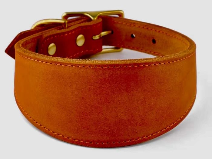 Premium Handmade Leather Dog Collar  Custom Personalised  Large Dogs