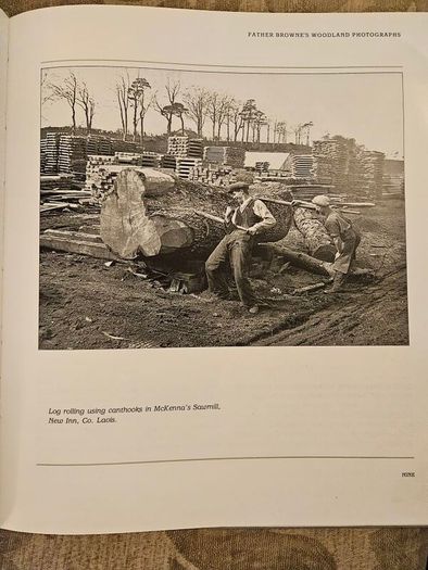 Forest Images. Fr Browne's Woodland Photographs From Emo Court Co Laois. Fabolous FIRST EDITION Large Volume Hardback In Good Condition.  See Photos For Same.