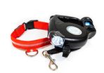 Dog Safety Pack