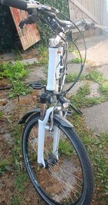 ebike