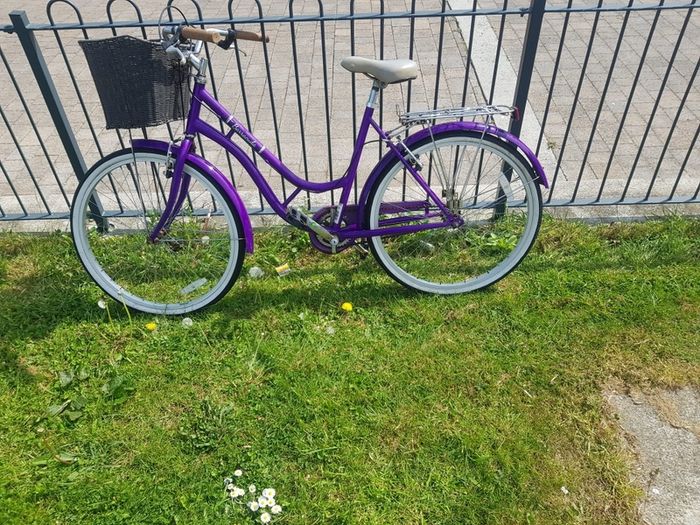 ladies bike