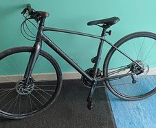 Trek FX2
