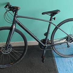 Trek FX2