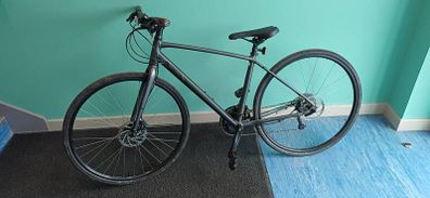 Trek FX2