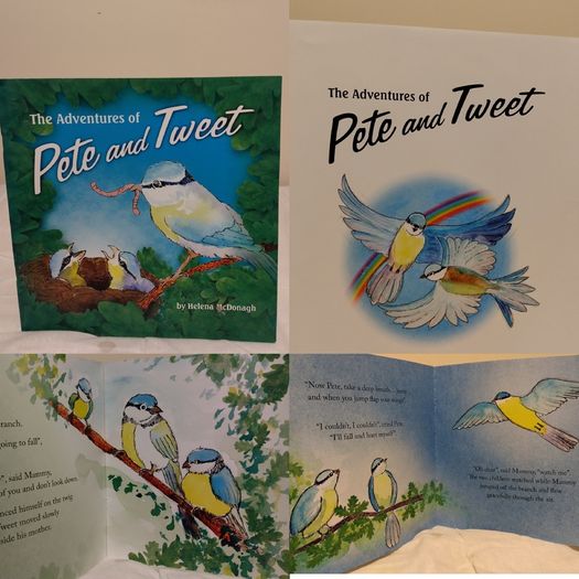 The Adventures Of Pete And Tweet Story Book