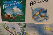 The Adventures Of Pete And Tweet Story Book
