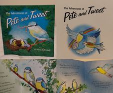 The Adventures Of Pete And Tweet Story Book
