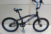 Bmx Hybrid Theory