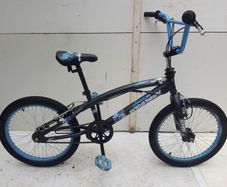Bmx Hybrid Theory