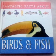 Book: Birds and Fish