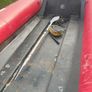 boat Image 4