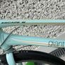 Ladies Giant Mountain Bike Image 3