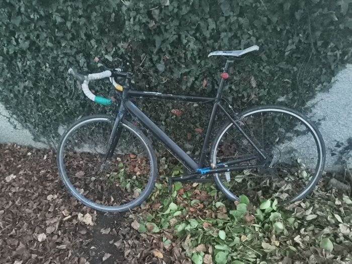 bike
