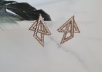 Brand New Earrings
