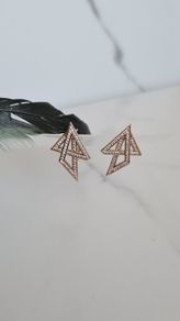 Brand New Earrings