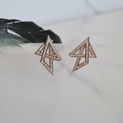 Brand New Earrings