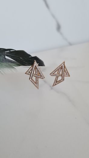Brand New Earrings
